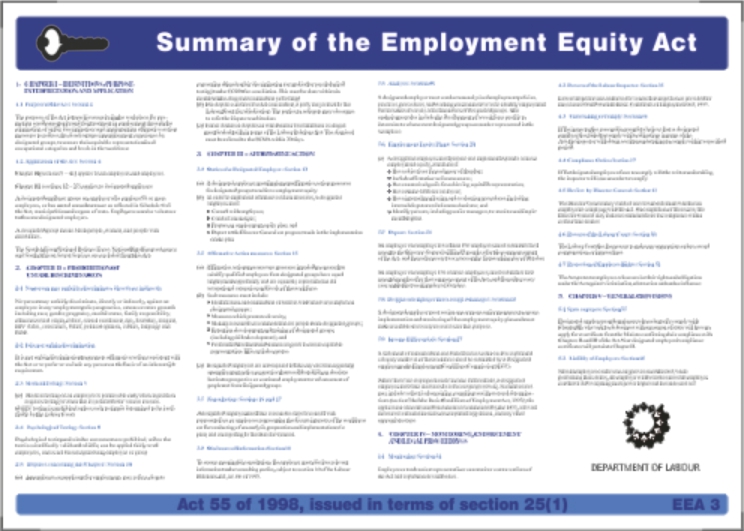 Summary of Employment Equity Act - Laminated Paper Poster