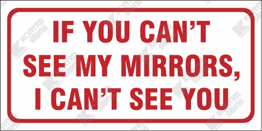 If You Can't See My Mirrors I Can't See You Reflective Vinyl